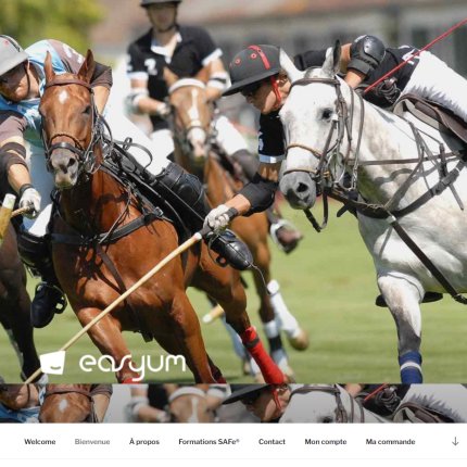 Easyum | Sébastier Poher