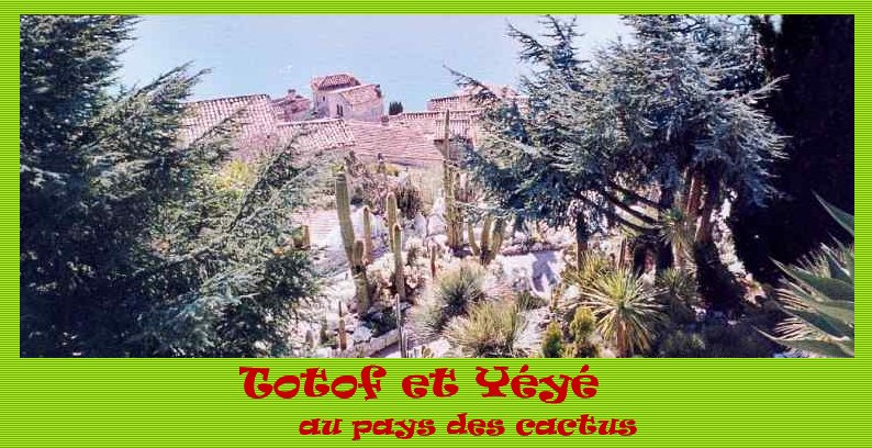 Totof & Yéyé au pays des cactus