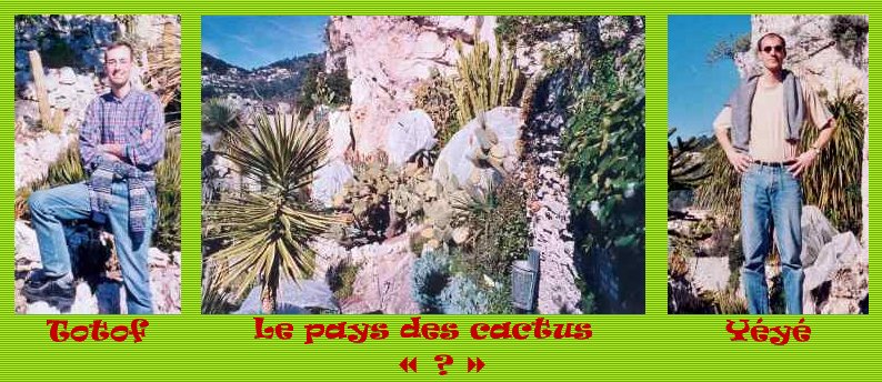 Totof & Yéyé au pays des cactus