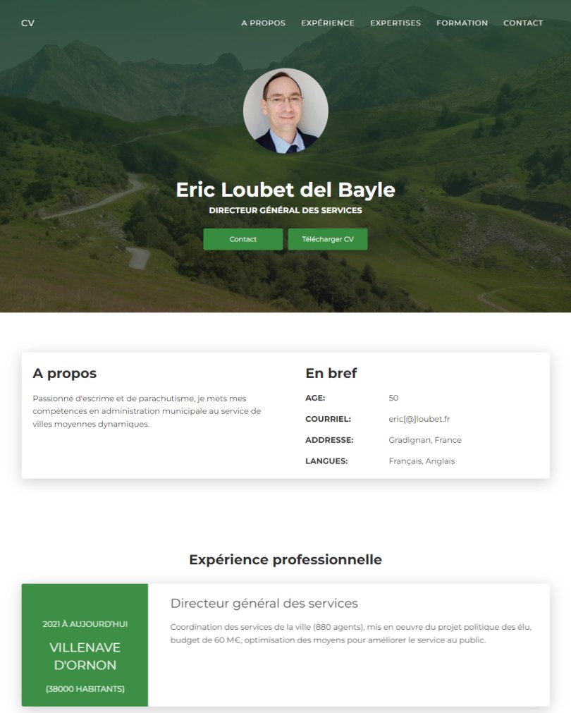 CV de Eric Loubet del Bayle