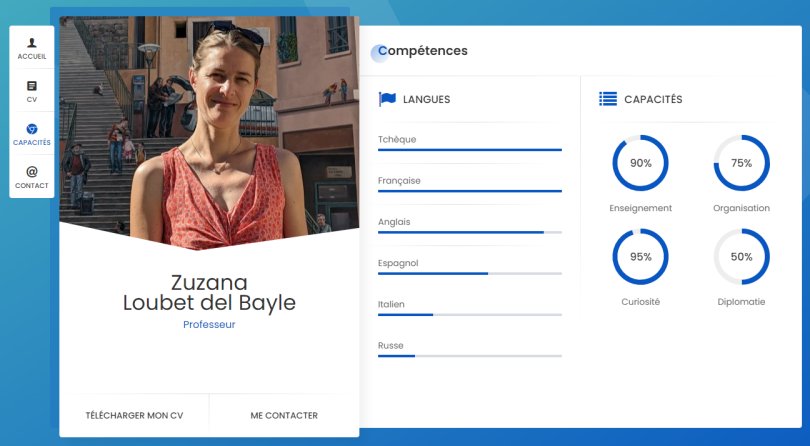 CV de Zuzana Loubet del Bayle