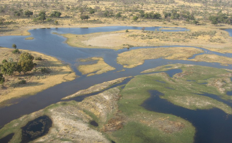 Delta de l'Okavango