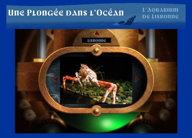 Aquarium de Lisbonne