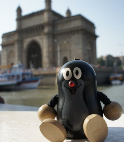 Taupek en voyage en Inde