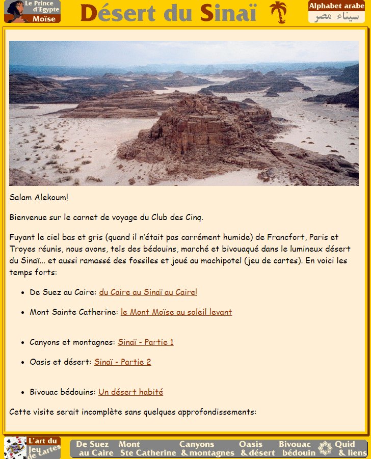 Désert du Sinaï (Egypte)